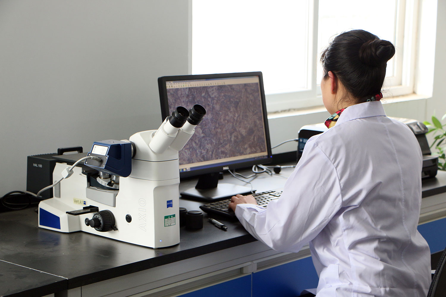 德国ZEISS显微镜